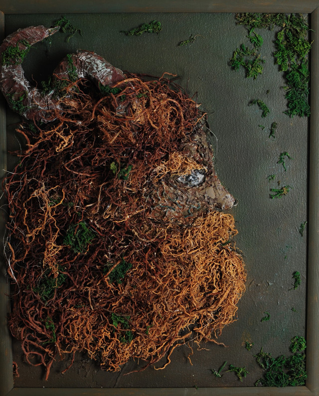 Анастасия Михайловская - Друг леса